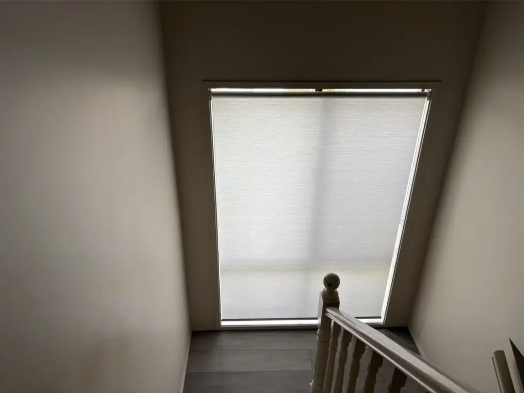 f2311d4f15904e76fe86258141da39d (1)